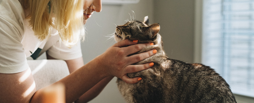 Veterinarian examining a dog