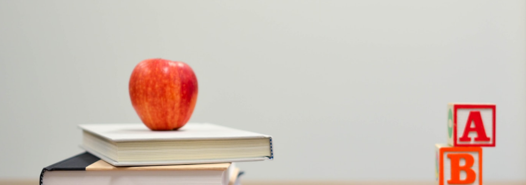 Child reading a picture book